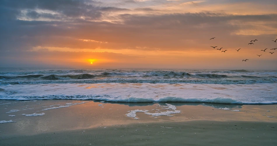 Best Beaches in Hilton Head Island: Your Complete Guide to South Carolina’s Coastal Paradise