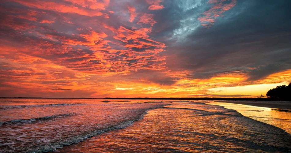 Best Beaches in Hilton Head Island: Your Complete Guide to South Carolina’s Coastal Paradise
